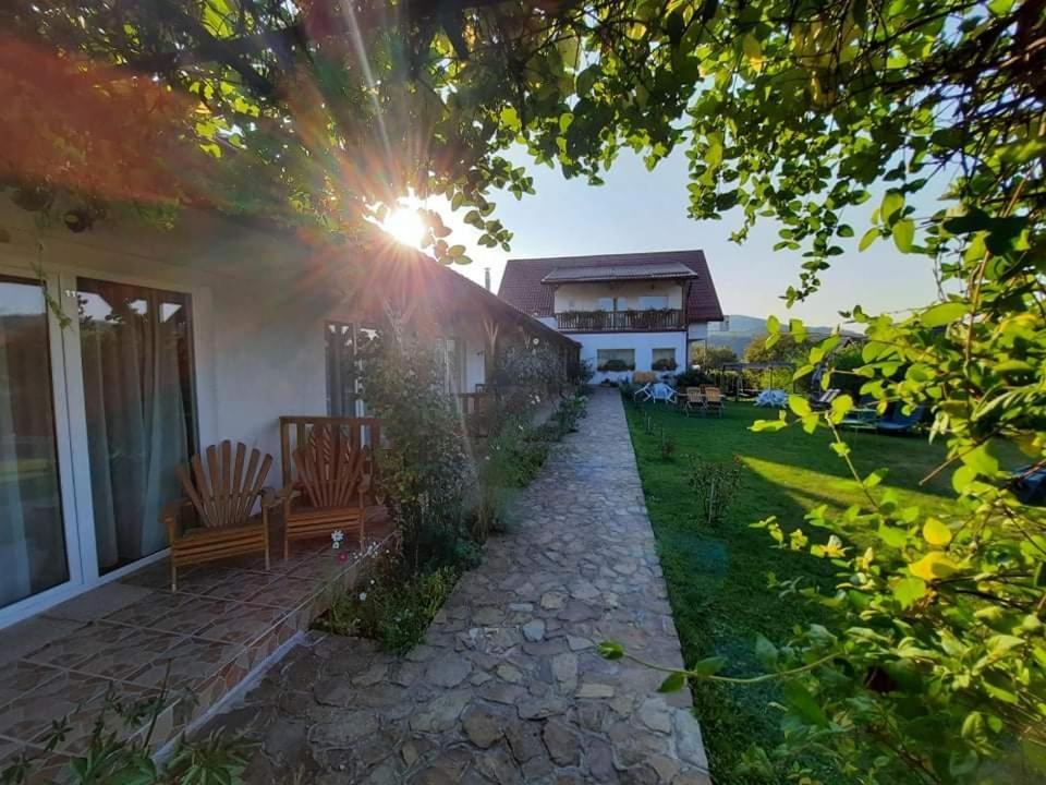Pensiunea Poezii Alese Valea Drăganului Εξωτερικό φωτογραφία